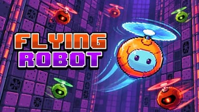 Flying Robot