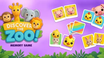 Memory Zoo