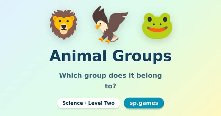 Animal Groups