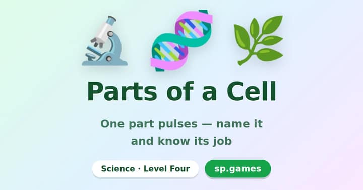 Parts of a Cell