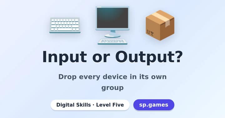 Input or Output?