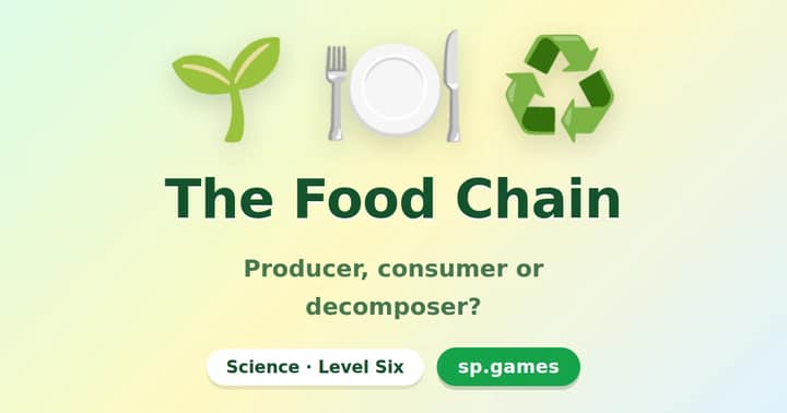 The Food Chain