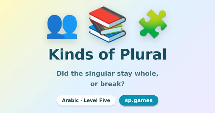 Kinds of Plural