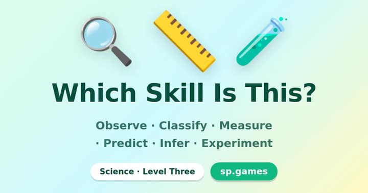 Which Skill Is This?