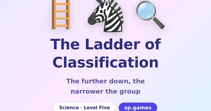 The Ladder of Classification