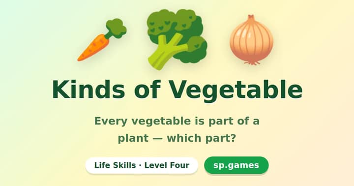 Kinds of Vegetable