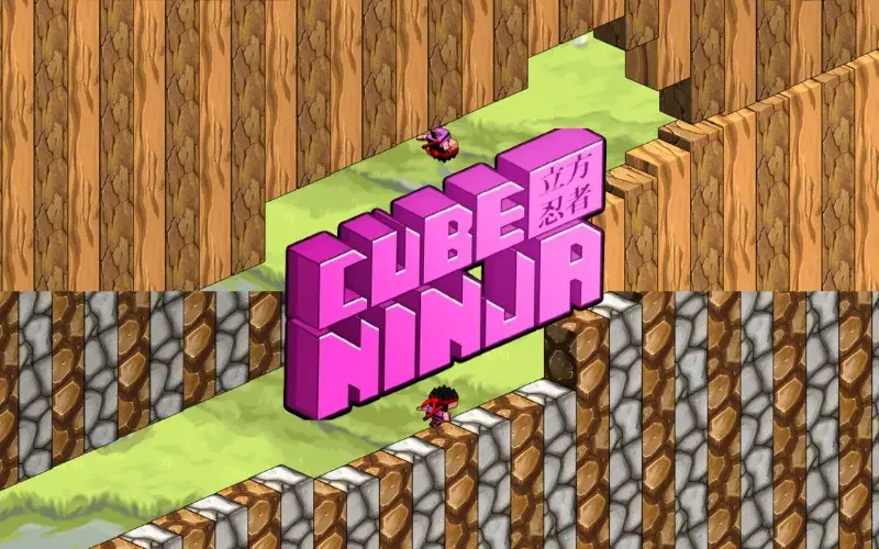 Cube Ninja