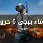 اسماء ببجي 6 حروف