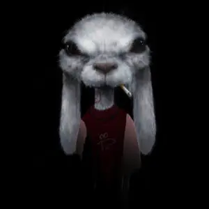 الأرنب 🇲🇦