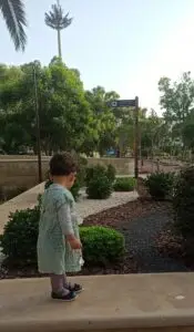 صفاء اكادير