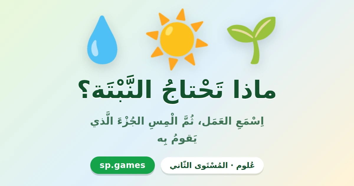 ماذا تحتاج النبتة؟