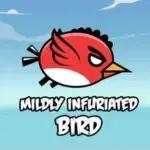 Infuriated Bird