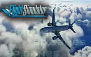 طائرة من سلسلة ألعاب Microsoft Flight Simulator