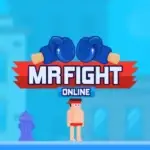 Mr Fight