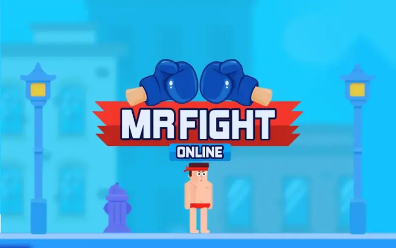 Mr Fight