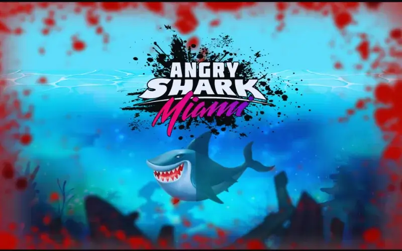 Angry Shark Miami