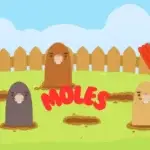 Moles