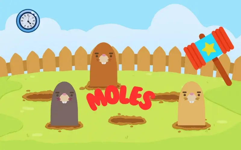 Moles